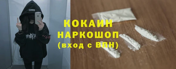 прущие грибы Ростов
